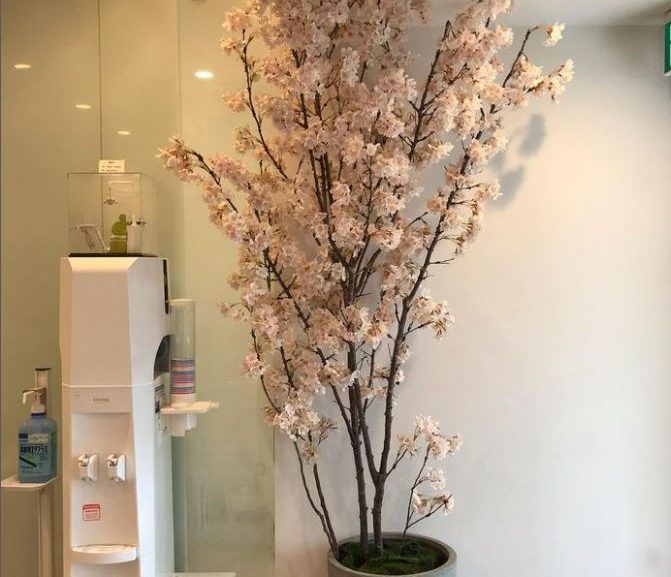 新年度のご挨拶✨